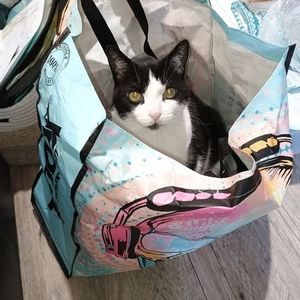 Meet your Posher, Pamela